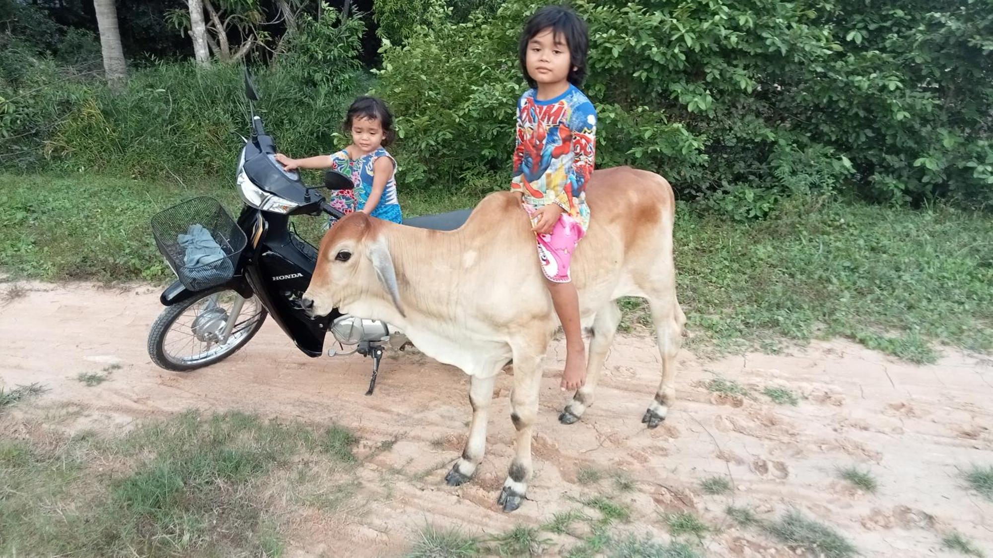 kakrona pouk homestay Siem Reap Luaran gambar