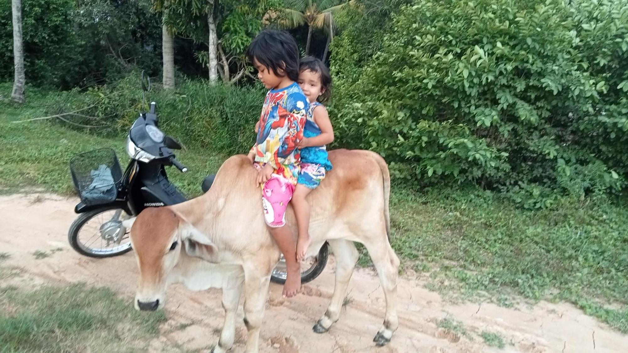 kakrona pouk homestay Siem Reap Luaran gambar